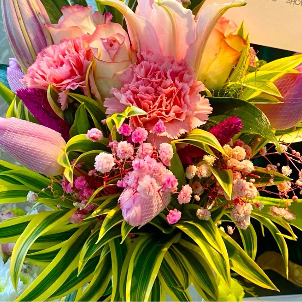 Meet your Posher, Michelle